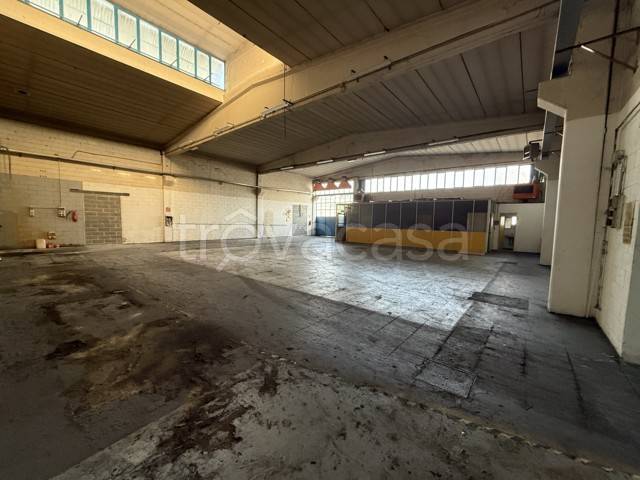 immagine annuncio 4 di 8