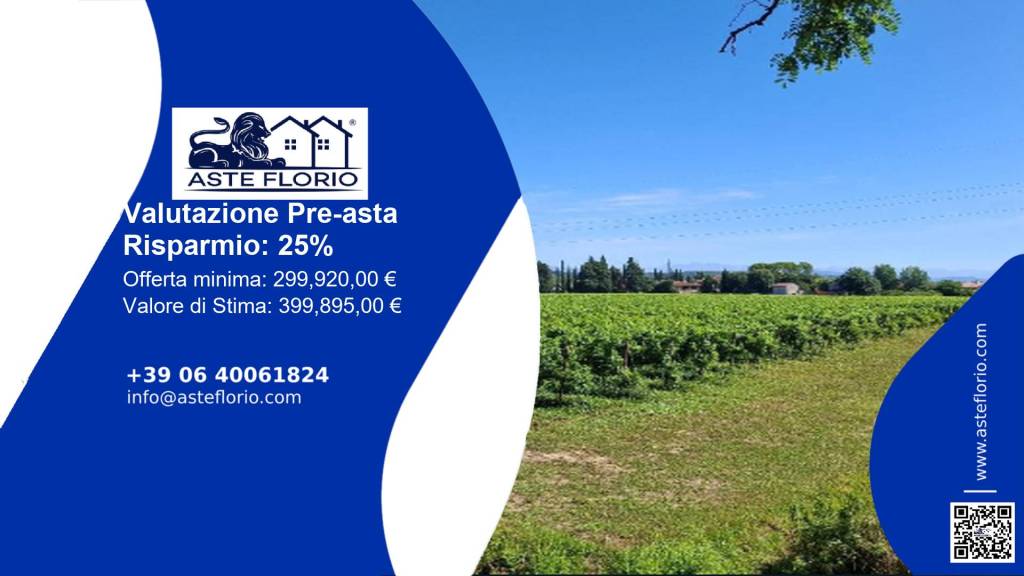 immagine annuncio 1 di 12