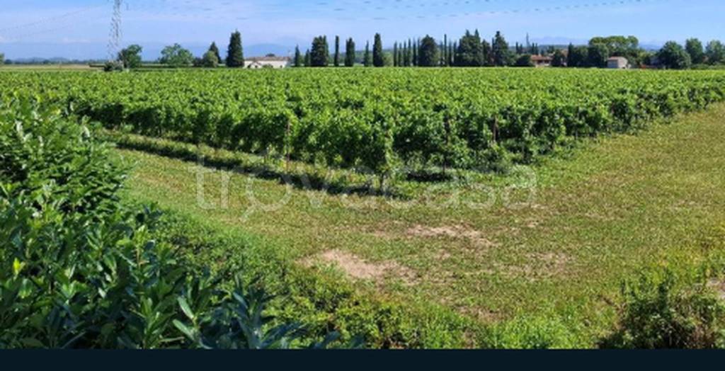 immagine annuncio 6 di 11