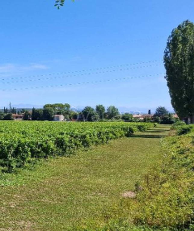 immagine annuncio 7 di 11