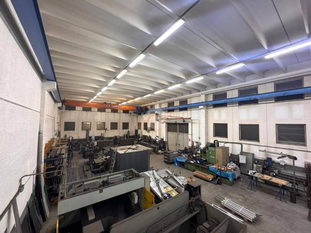 immagine annuncio 6 di 15