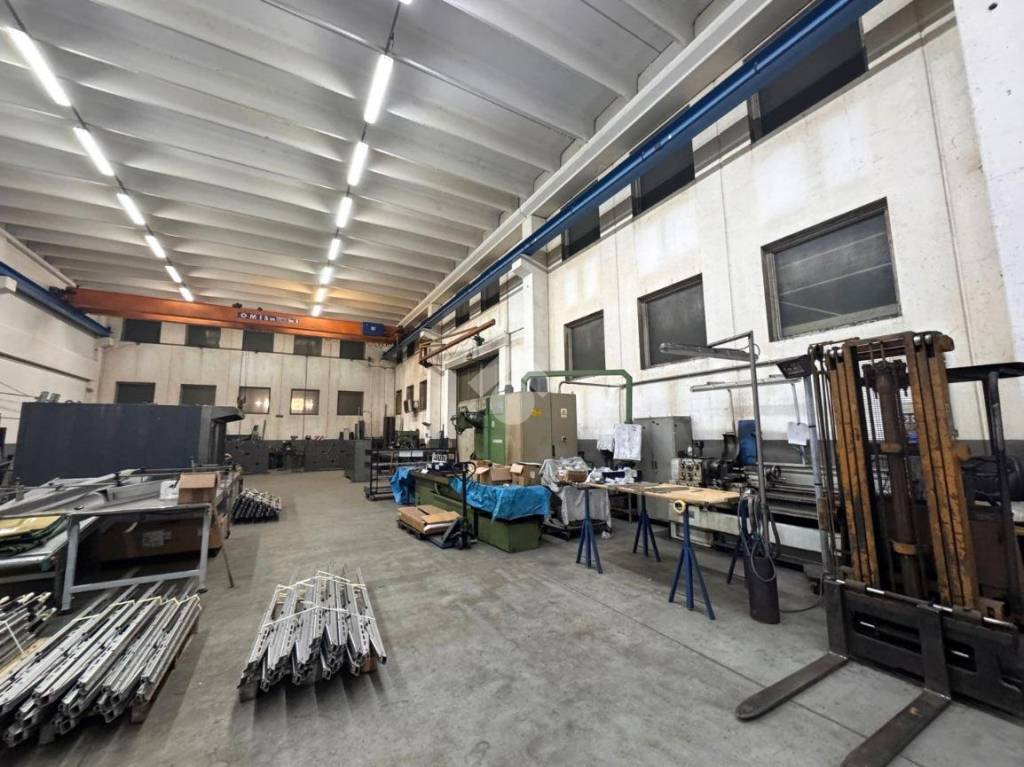 immagine annuncio 12 di 15