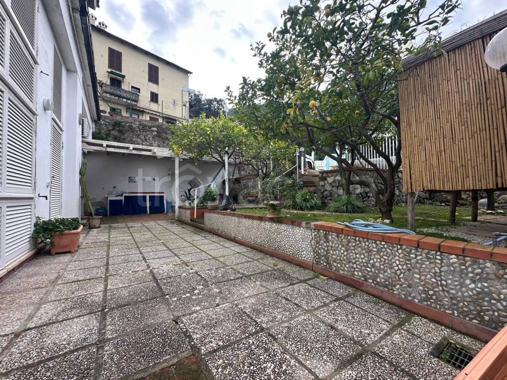 immagine annuncio 2 di 14