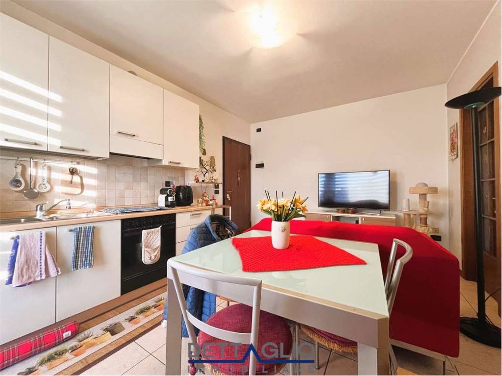 immagine annuncio 1 di 12