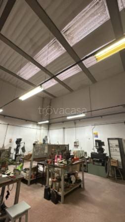 immagine annuncio 2 di 4