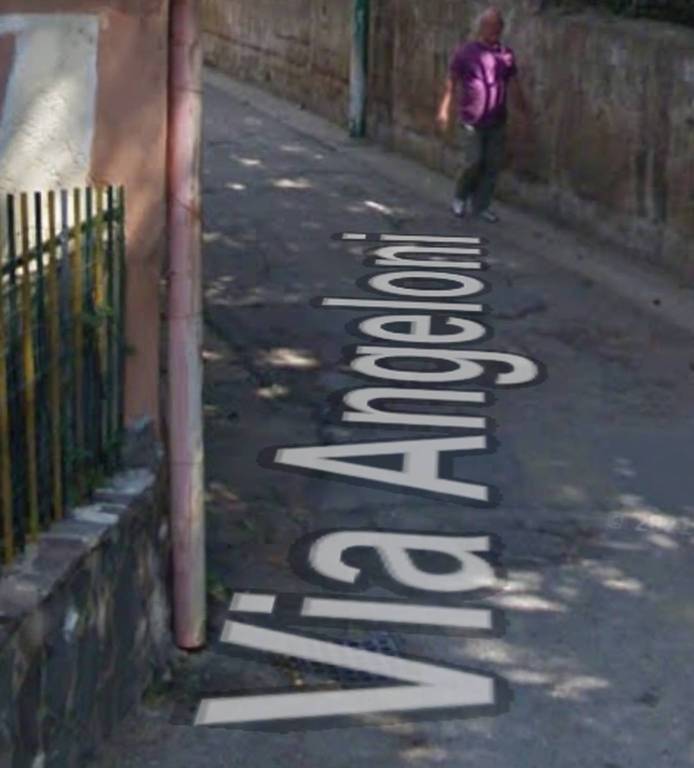 immagine annuncio 1 di 11