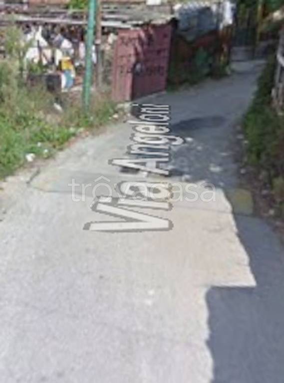 immagine annuncio 1 di 11