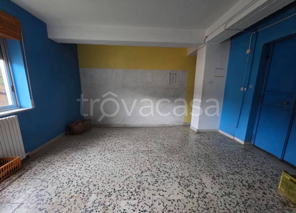 immagine annuncio 7 di 9