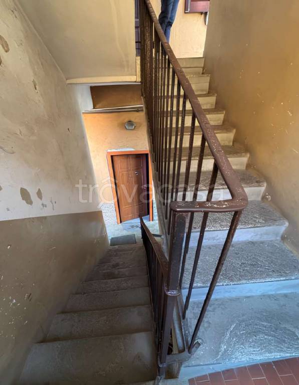 immagine annuncio 3 di 14