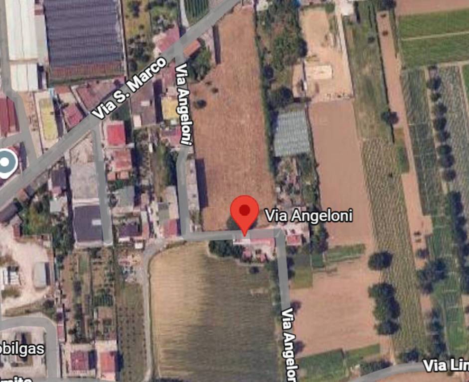 immagine annuncio 5 di 11