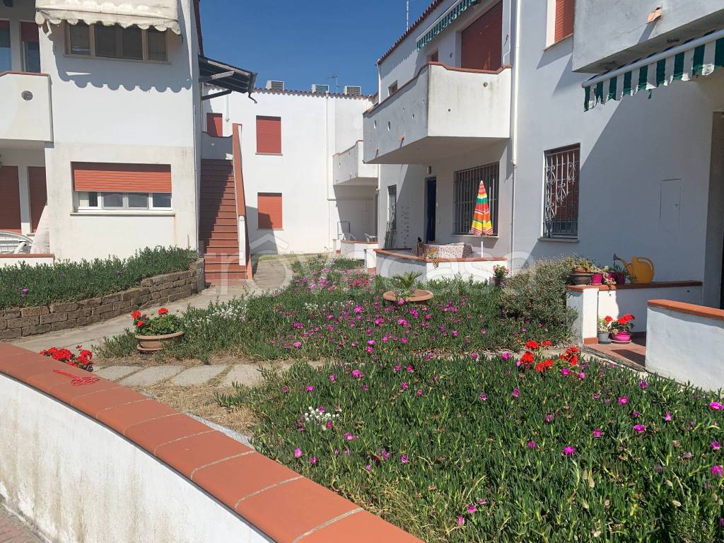 immagine annuncio 11 di 14