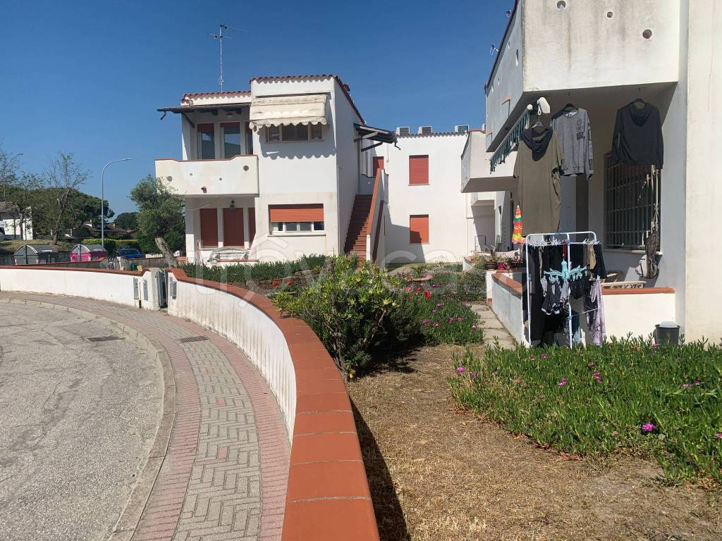 immagine annuncio 13 di 14