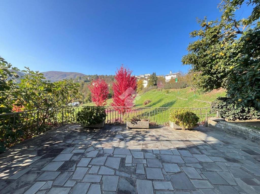 immagine annuncio 3 di 14