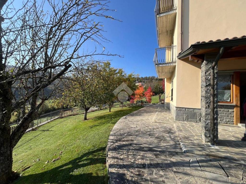 immagine annuncio 12 di 14