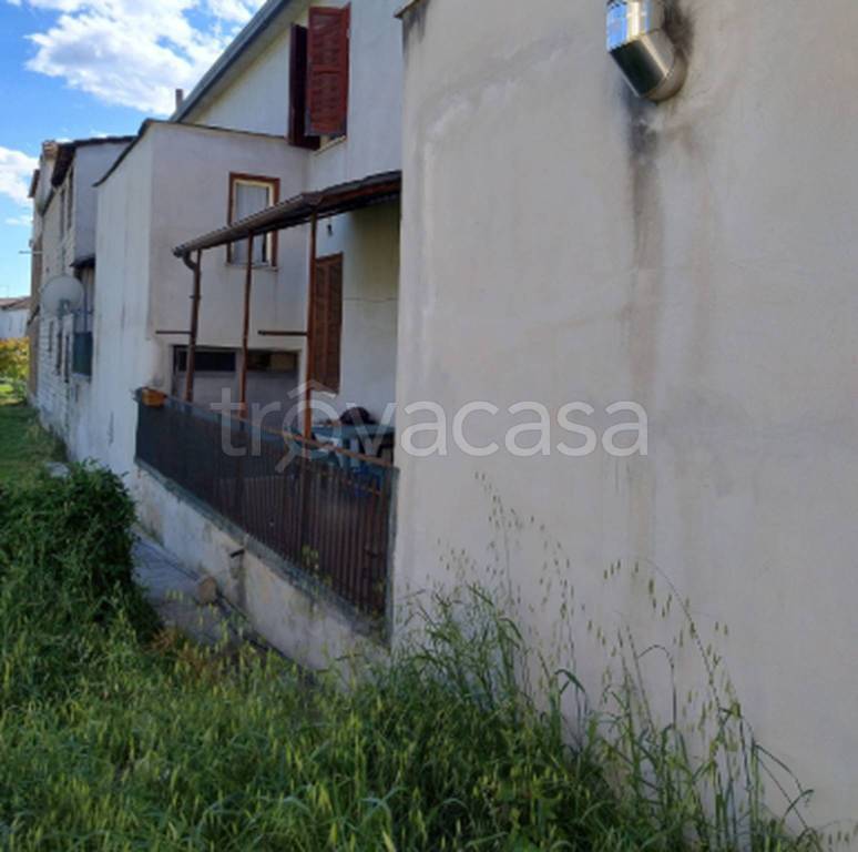 immagine annuncio 6 di 11