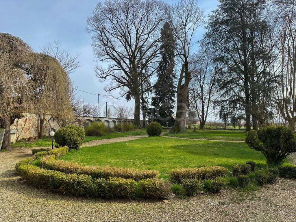 immagine annuncio 4 di 15