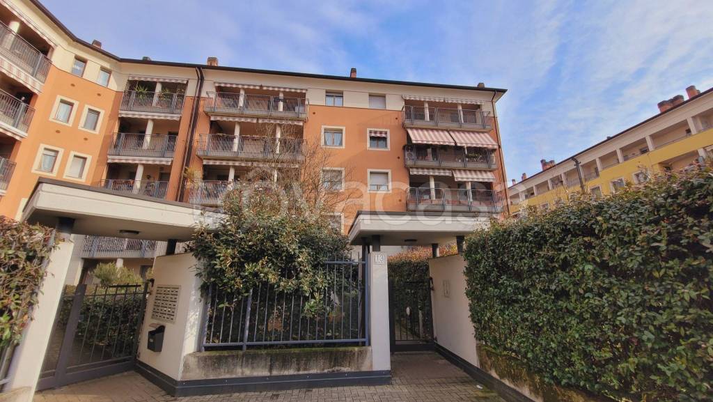 immagine annuncio 3 di 15