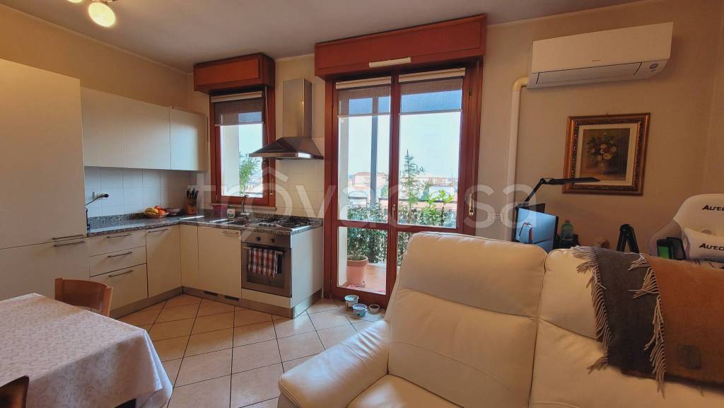 immagine annuncio 12 di 15