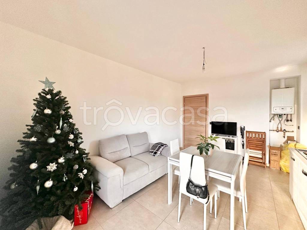 immagine annuncio 5 di 12