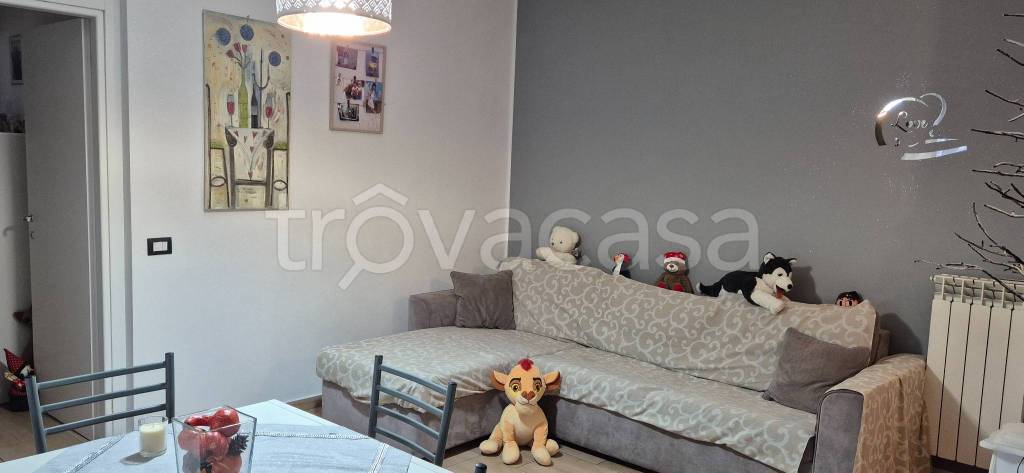 immagine annuncio 4 di 12