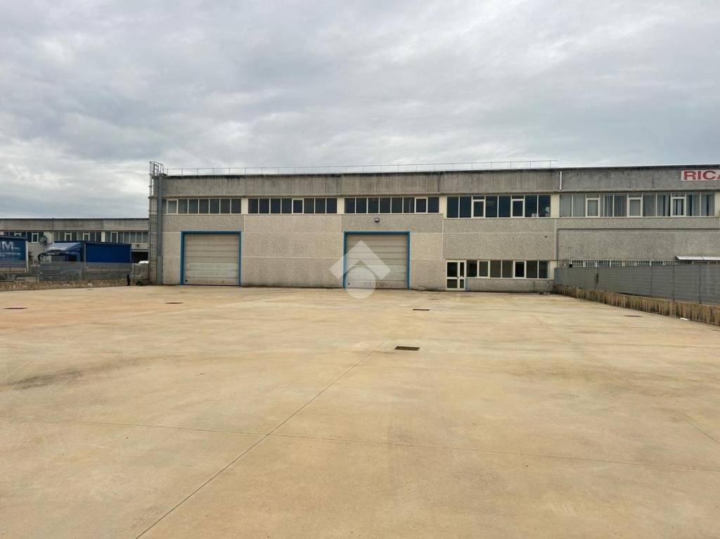 immagine annuncio 11 di 15