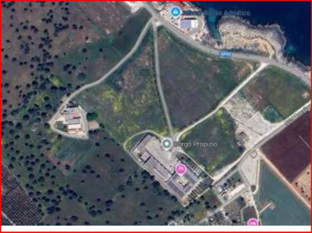 immagine annuncio 11 di 12