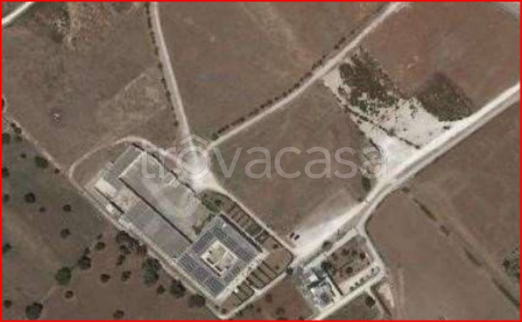 immagine annuncio 10 di 12