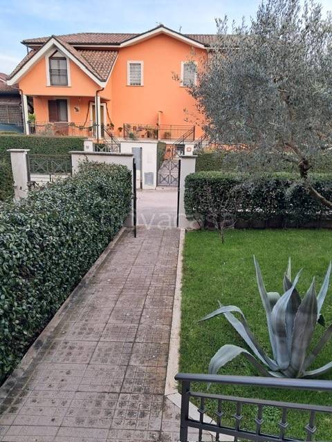 immagine annuncio 3 di 15