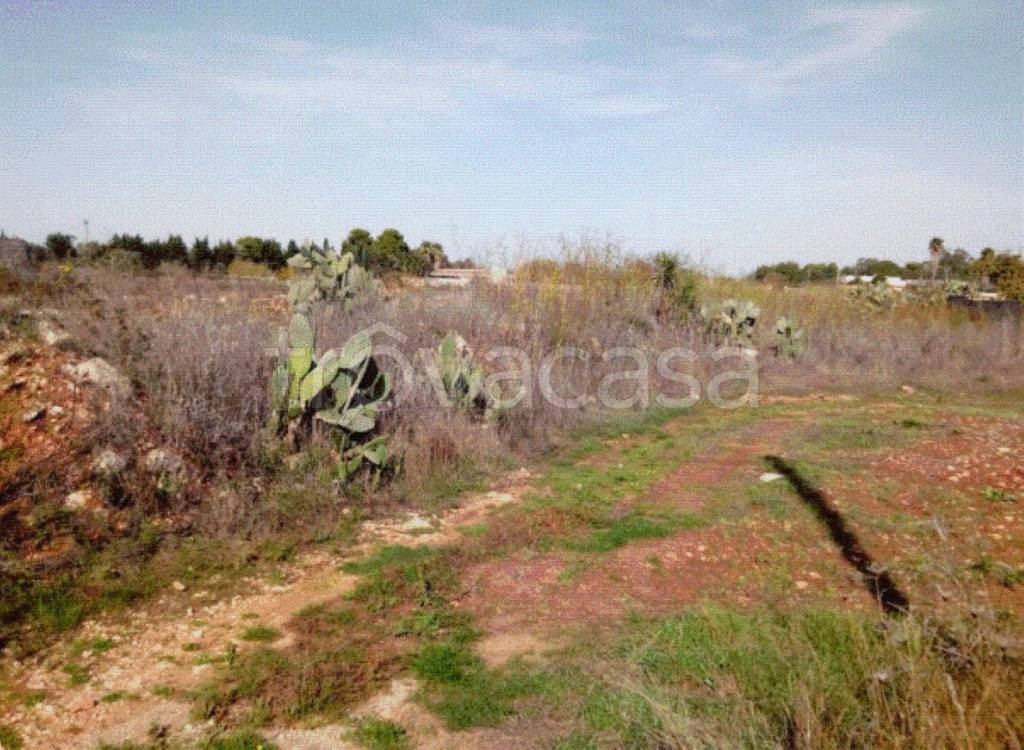 immagine annuncio 7 di 10