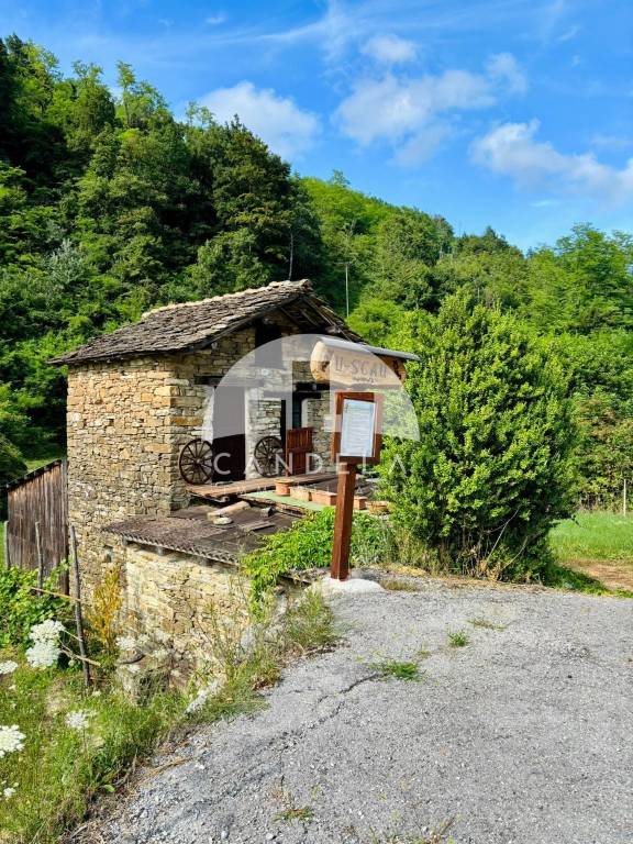 immagine annuncio 2 di 10