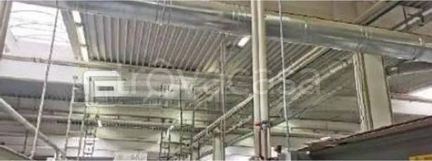 immagine annuncio 4 di 9