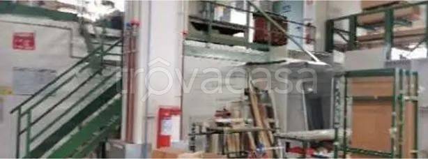 immagine annuncio 5 di 9