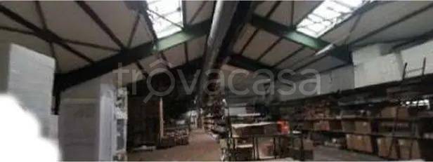 immagine annuncio 8 di 12