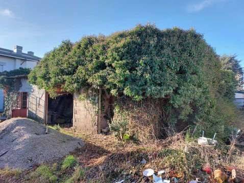 immagine annuncio 3 di 8