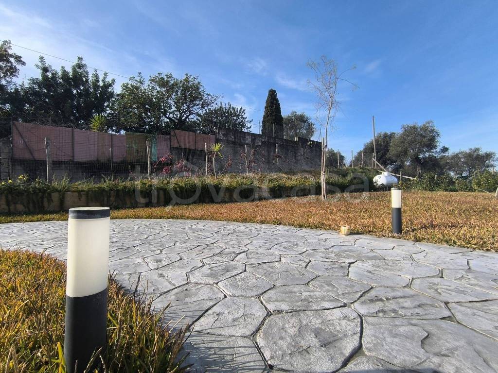 immagine annuncio 9 di 14