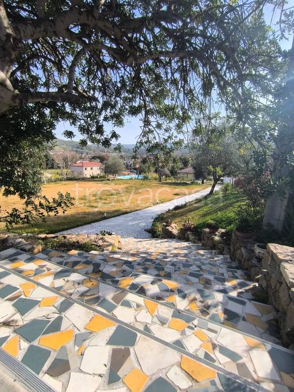 immagine annuncio 10 di 14