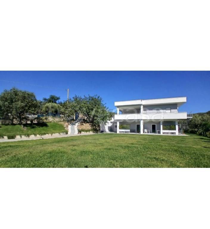 immagine annuncio 13 di 14