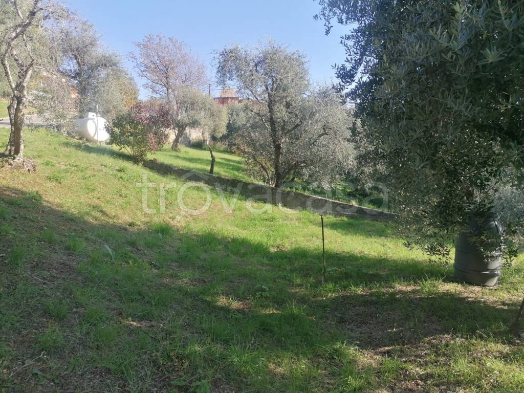 immagine annuncio 5 di 9