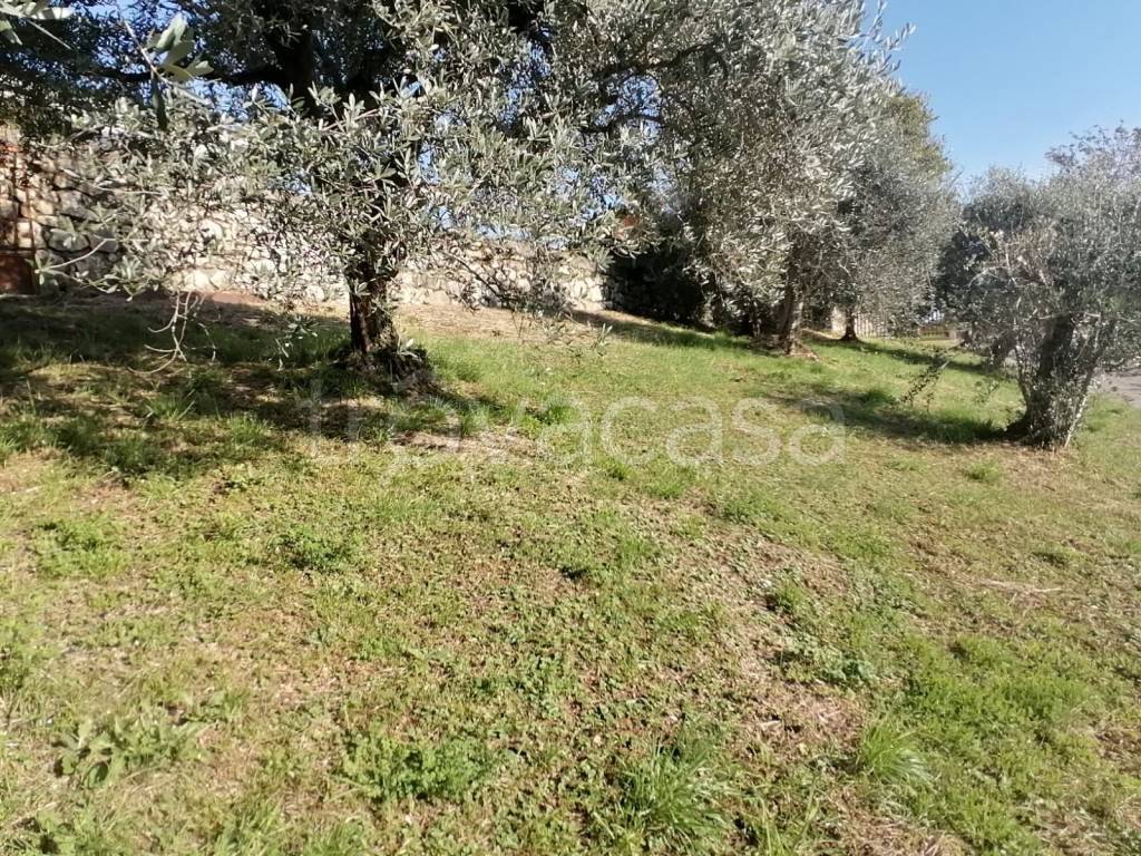 immagine annuncio 6 di 9