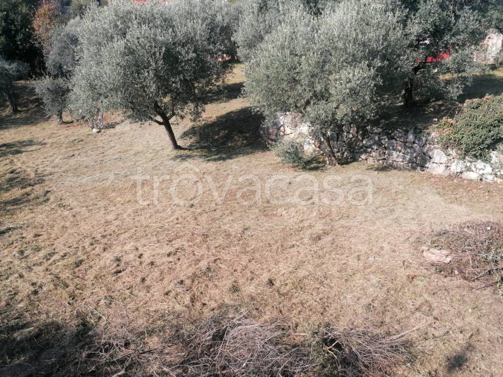 immagine annuncio 7 di 9