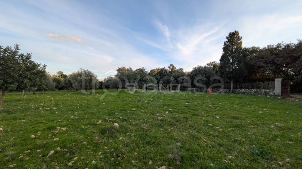 immagine annuncio 4 di 14