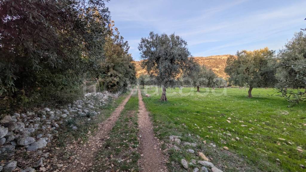 immagine annuncio 6 di 14