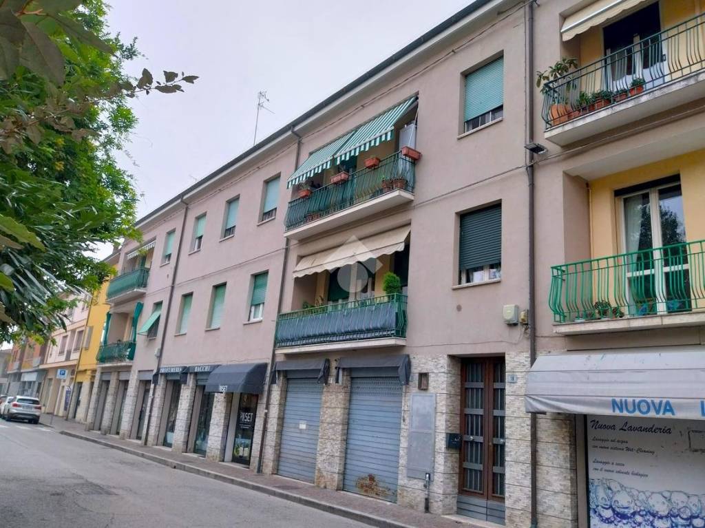 immagine annuncio 12 di 13