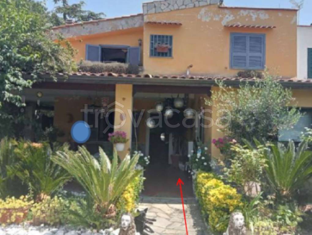 immagine annuncio 2 di 13