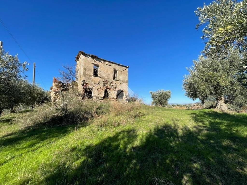 immagine annuncio 6 di 9