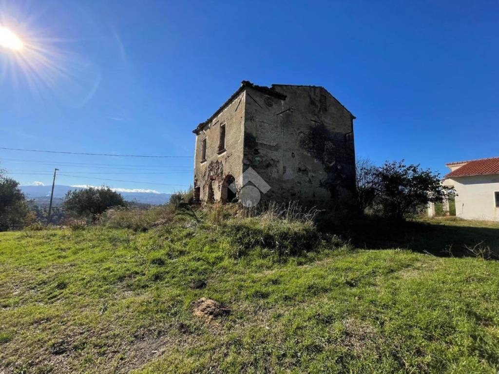 immagine annuncio 7 di 9