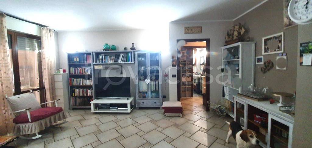 immagine annuncio 5 di 15