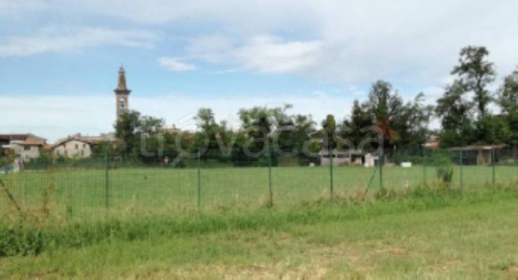 immagine annuncio 6 di 11