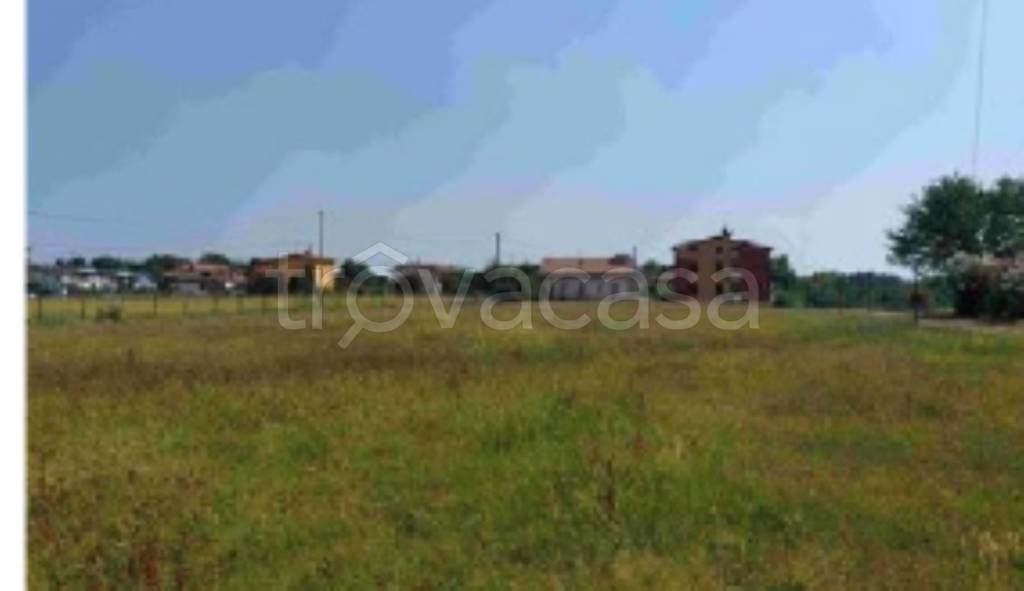 immagine annuncio 7 di 11