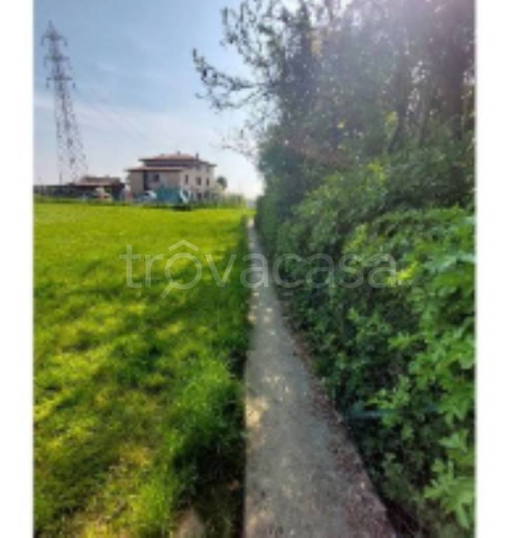 immagine annuncio 9 di 11